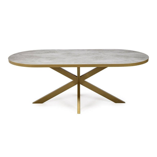 Stalux Plat ovale eettafel 'Noud' 210 x 100, kleur goud / beton